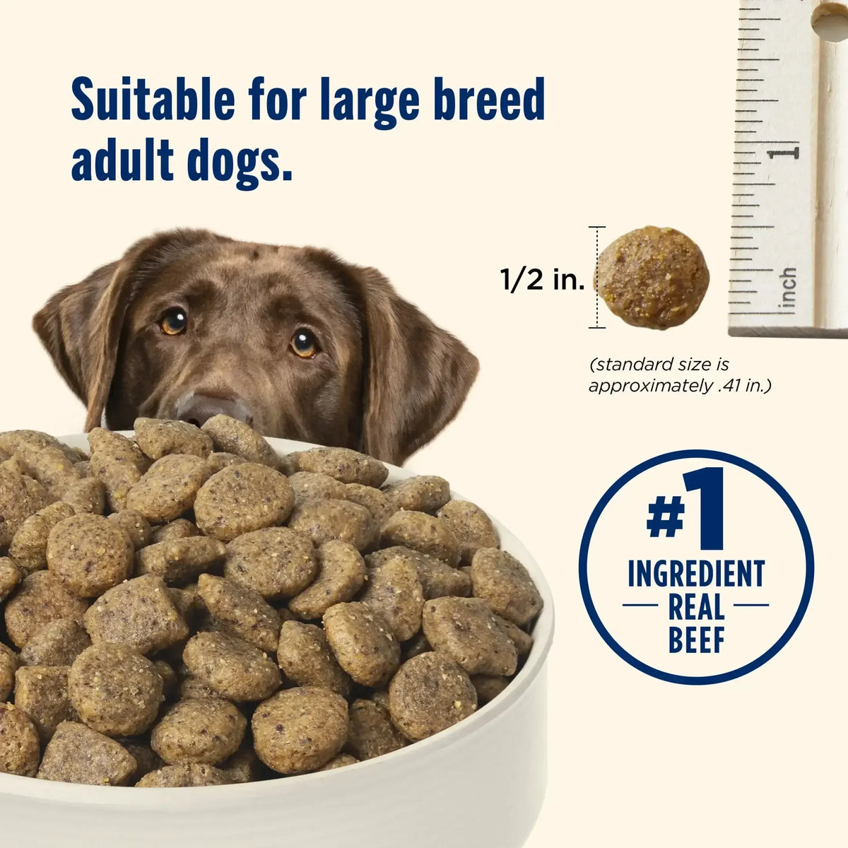 Nutrish Large Breed Real Beef, Pea, Carrot & Brown Rice Recipe Whole Health Blend Dry Dog Food, 14 lb. Bag (Rachael Ray)