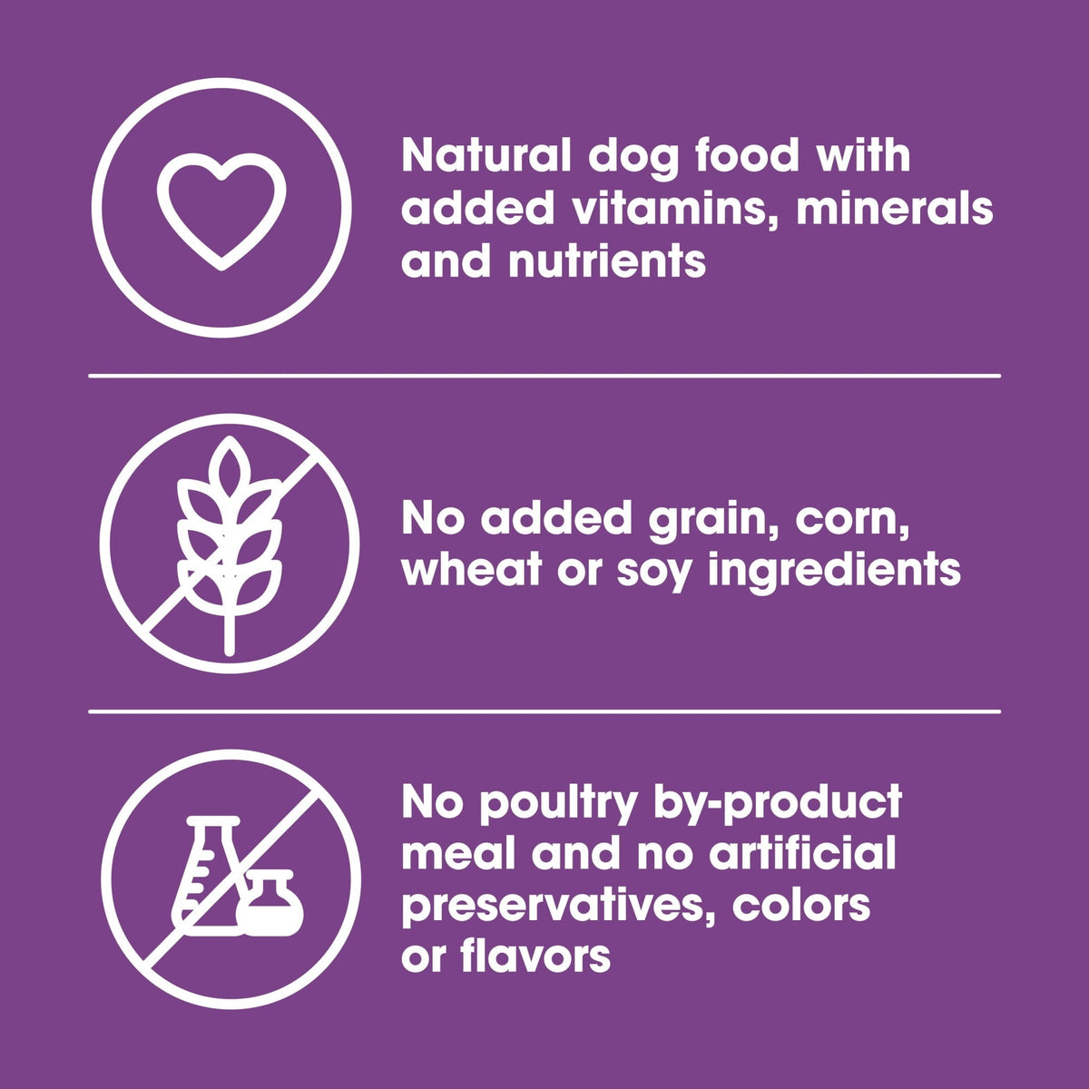 (12 pack) Nature's Recipe Grain Free Chicken & Lamb in Savory Broth Wet Dog Food, 2.75 oz Cup