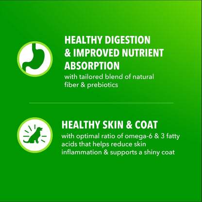 IAMS Proactive Health Adult Minichunks Chicken & Whole Grain Recipe Dry Dog Food