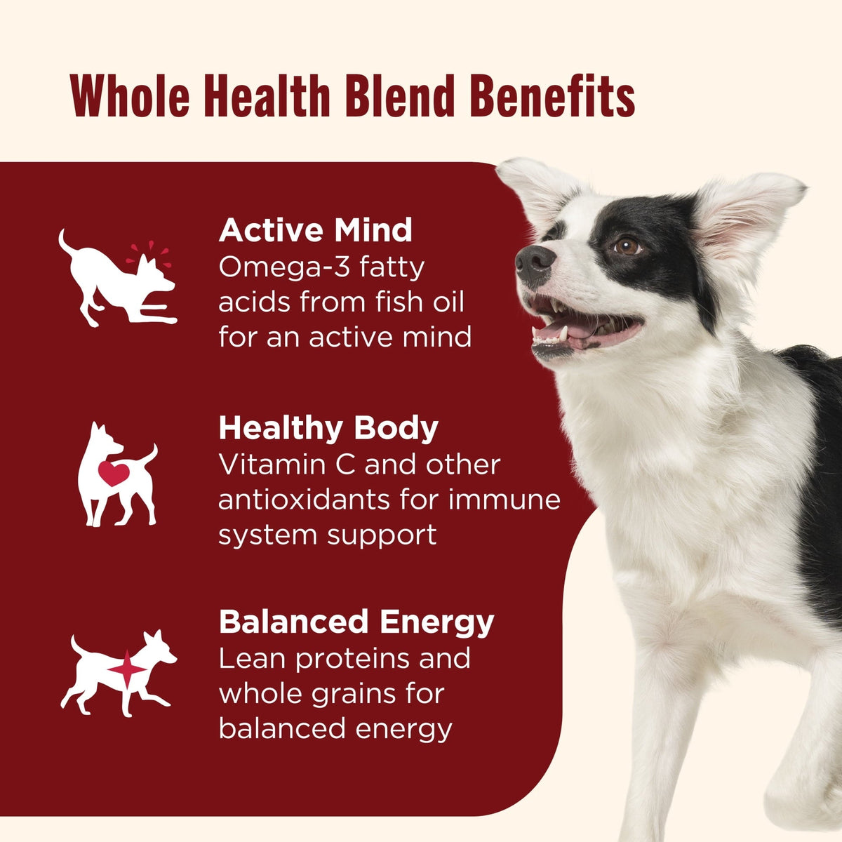 Nutrish Real Beef & Pumpkin Recipe Whole Health Blend Premium Paté Wet Dog Food, 13 oz. Can (Rachael Ray)