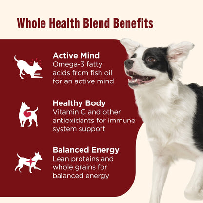 Nutrish Real Beef & Pumpkin Recipe Whole Health Blend Premium Paté Wet Dog Food, 13 oz. Can (Rachael Ray)