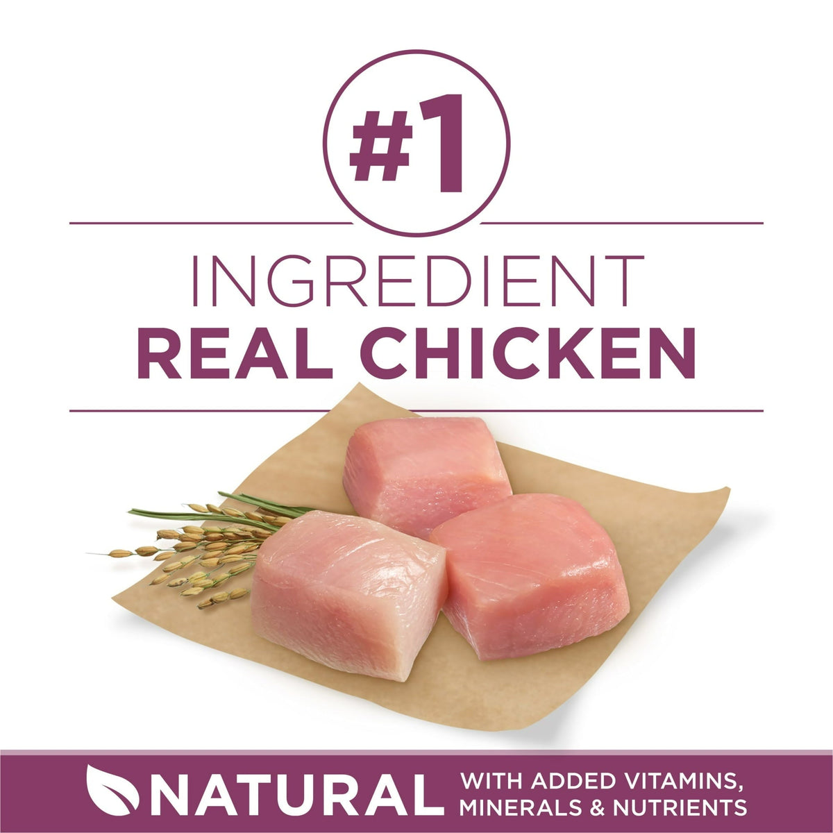 Purina ONE Plus Healthy Puppy Dry Dog Food, High Protein Growth Support with Real Chicken