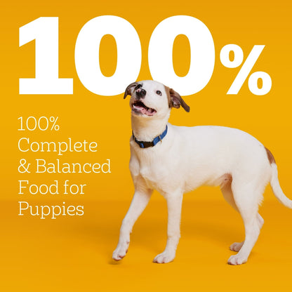 Pedigree Puppy Food Morsels in Sauce, Wet Dog Food Variety Pack, 3.5 oz Pouches 18 Count (Pack of 2)