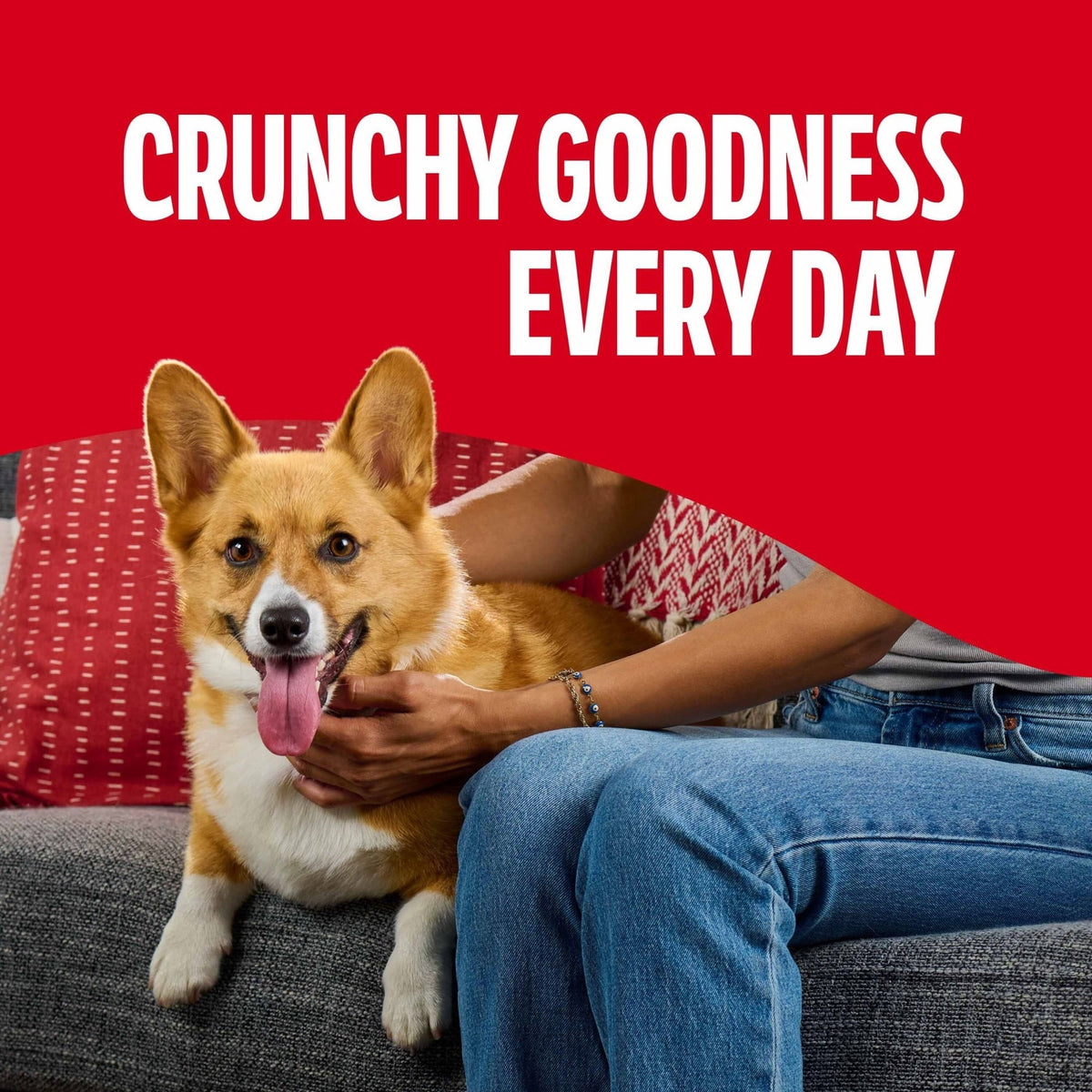 Milk Bone Flavor Snacks Large Dog Biscuits, Flavored Crunchy Dog Treats, 60 oz