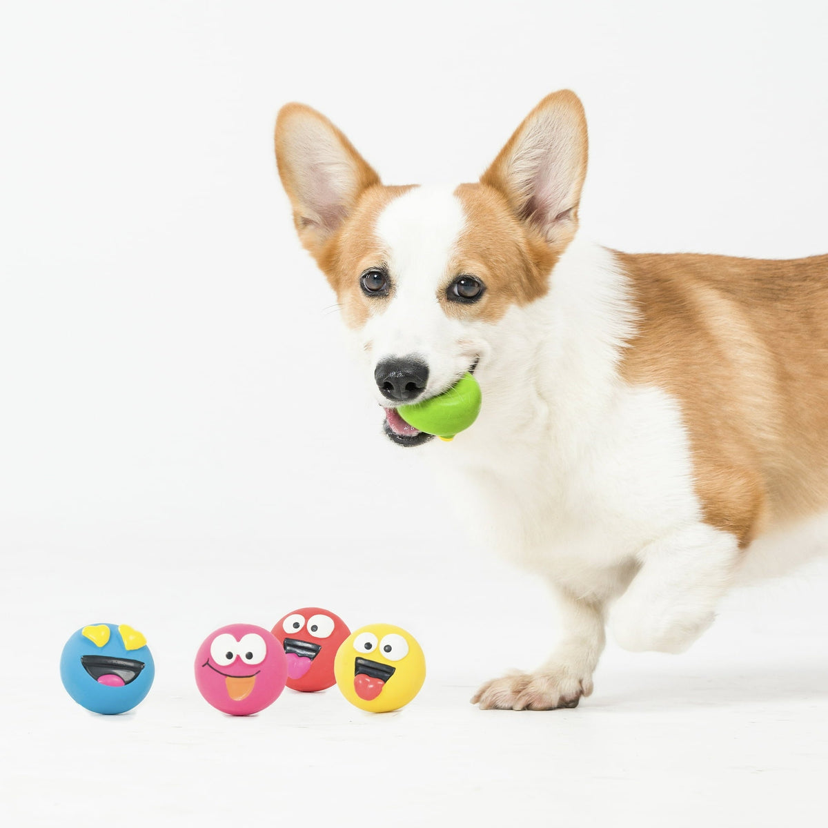 (2 pack) Vibrant Life Playful Buddy Dog Toys, Emoticon, Extra Small, 5 Count