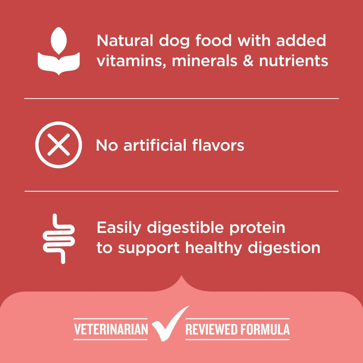 Rachael Ray Nutrish Dry Dog Food Real Salmon, Veggies & Brown Rice Recipe