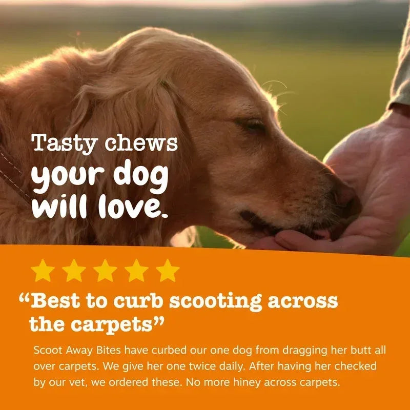 Zesty Paws Scoot Away Bites for Dogs, Digestive Support Functional Dog Supplement, Chicken Flavor, 90 Count Soft Chews