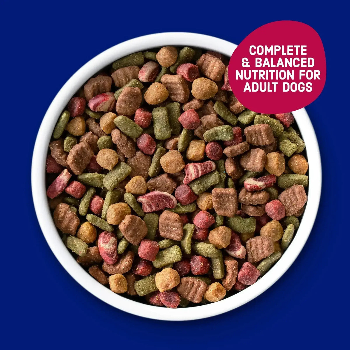Kibbles 'n Bits Bistro Oven Roasted Beef, Vegetable & Apple Flavors Dry Dog Food