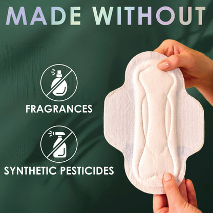 (4 pack) L. Ultra Thin Pads, Organic Cotton Top Layer, Regular, 42 Count