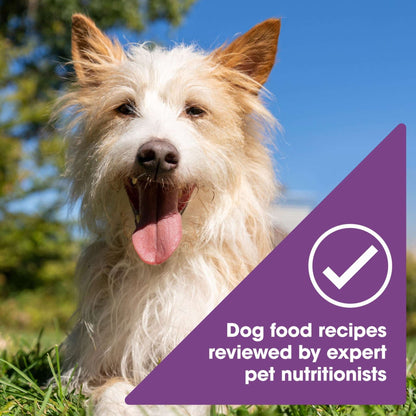 (12 pack) Nature's Recipe Grain Free Chicken & Lamb in Savory Broth Wet Dog Food, 2.75 oz Cup