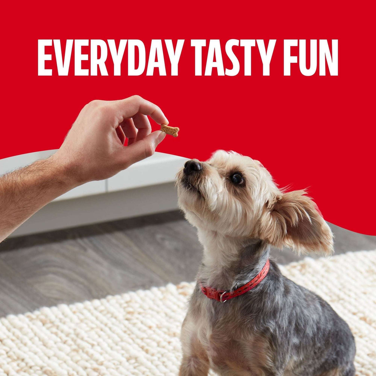 Milk Bone Soft & Chewy Mini’s Dog Treats, Made with Real Chicken, 18 oz Canister