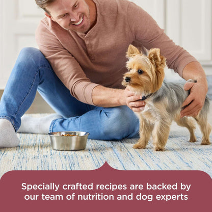 Rachael Ray Nutrish Dry Dog Food Small Breed Real Chicken & Veggies Recipe, 5lb.