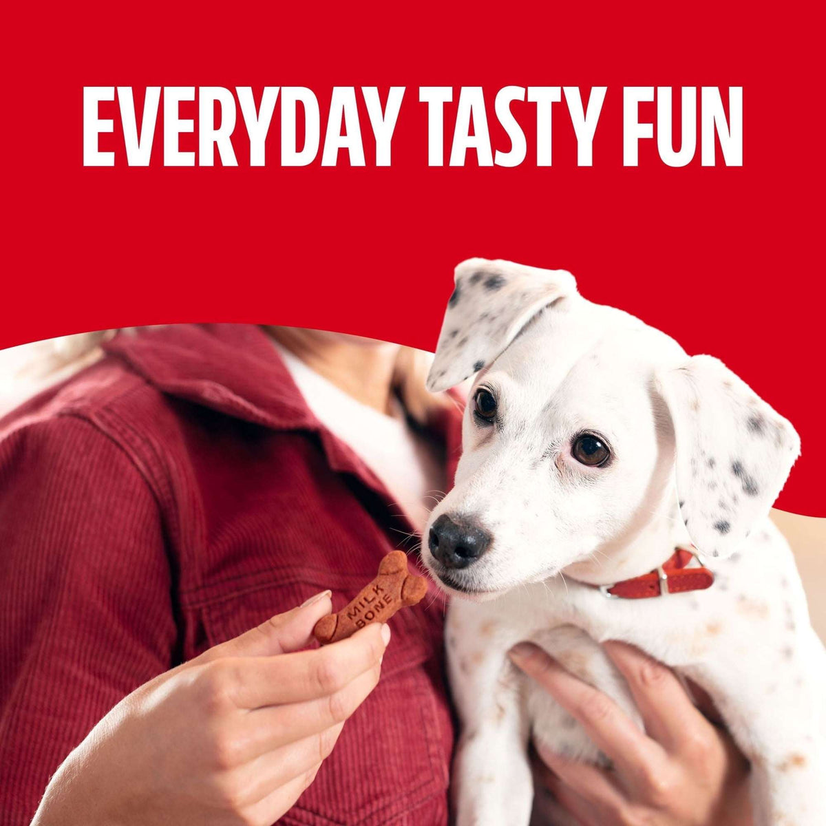 Milk Bone Soft & Chewy Dog Treats, Made with Real Beef & Filet Mignon, 25 oz Canister
