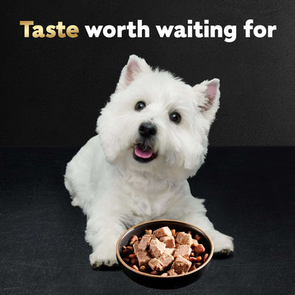 (12 pack) Cesar Classic Loaf In Sauce Porterhouse Steak Wet Dog Food, 3.5 Oz Tray