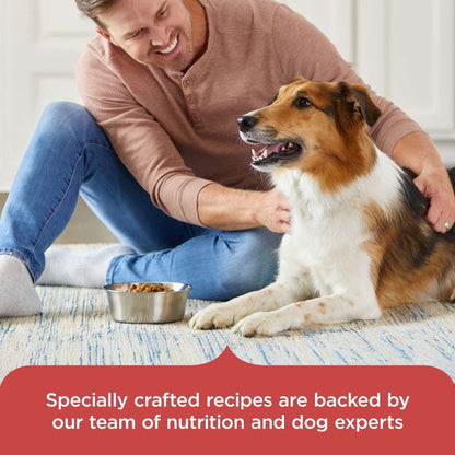 Rachael Ray Nutrish Dry Dog Food Real Salmon, Veggies & Brown Rice Recipe