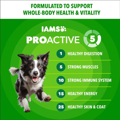 IAMS Proactive Health Adult Minichunks Chicken & Whole Grain Recipe Dry Dog Food