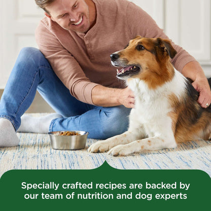 Rachael Ray Nutrish Adult Dry Dog Food Real Chicken & Veggies Recipe, 13 lb.