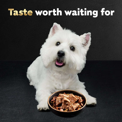 Cesar Loaf And Topper In Sauce Wet Dog Food Variety Pack, 3.5 Oz Trays (24 Pack)