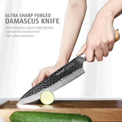 Hecef Japanese Chef Knife, Forged 67-Layer Damascus Steel Ultra Sharp Professional Hammered Carving Knife