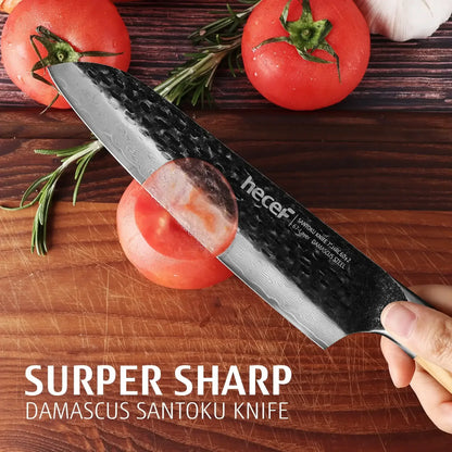 Hecef Japanese Chef Knife, Forged 67-Layer Damascus Steel Ultra Sharp Professional Hammered Carving Knife