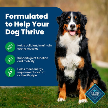 Blue Buffalo Life Protection Formula Adult Dry Dog Food, Lamb & Brown Rice