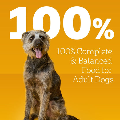 (24 pack) Pedigree Chopped Ground Dinner Wet Food with Beef, Bacon, & Cheese Flavor, 3.5 oz Pouches, 16 Count