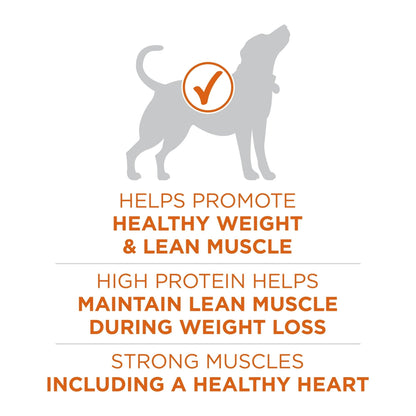 Purina ONE Plus Healthy Weight Dry Dog Food for Adults, High Protein with Real Turkey, 40 lb Bag