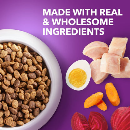 Iams Advanced Health Healthy Digestion Adult Dry Dog Food With Real Chicken