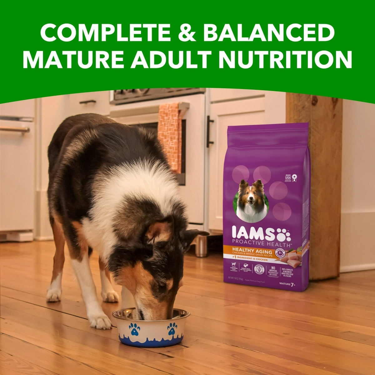 Iams Chicken And Whole Grains Recipe Dry Dog Food