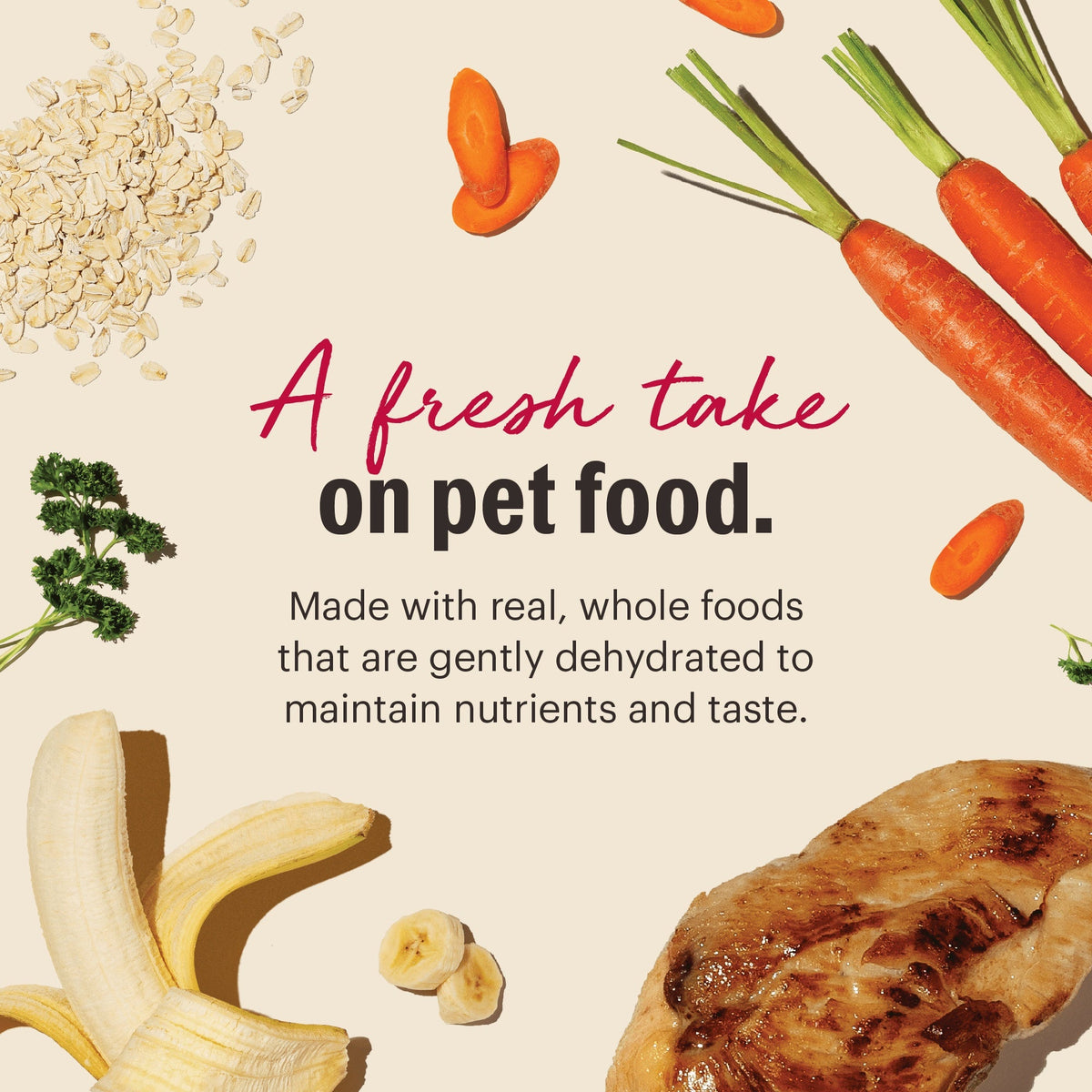 The Honest Kitchen Revel: Natural Human Grade Dehydrated Dog Food, Chicken & Organic Grains