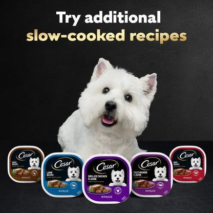 Cesar Loaf in Sauce Beef Recipe Adult Wet Dog Food, 3.5 oz Easy Peel Trays