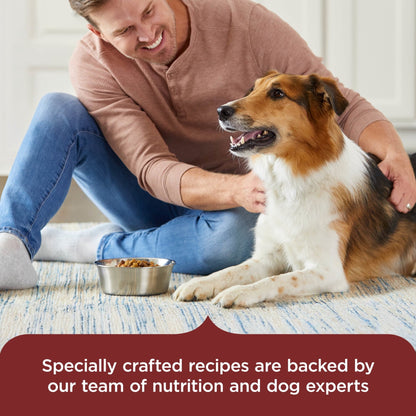 Rachael Ray Nutrish Adult Dry Dog Food Real Beef, Pea & Brown Rice Recipe