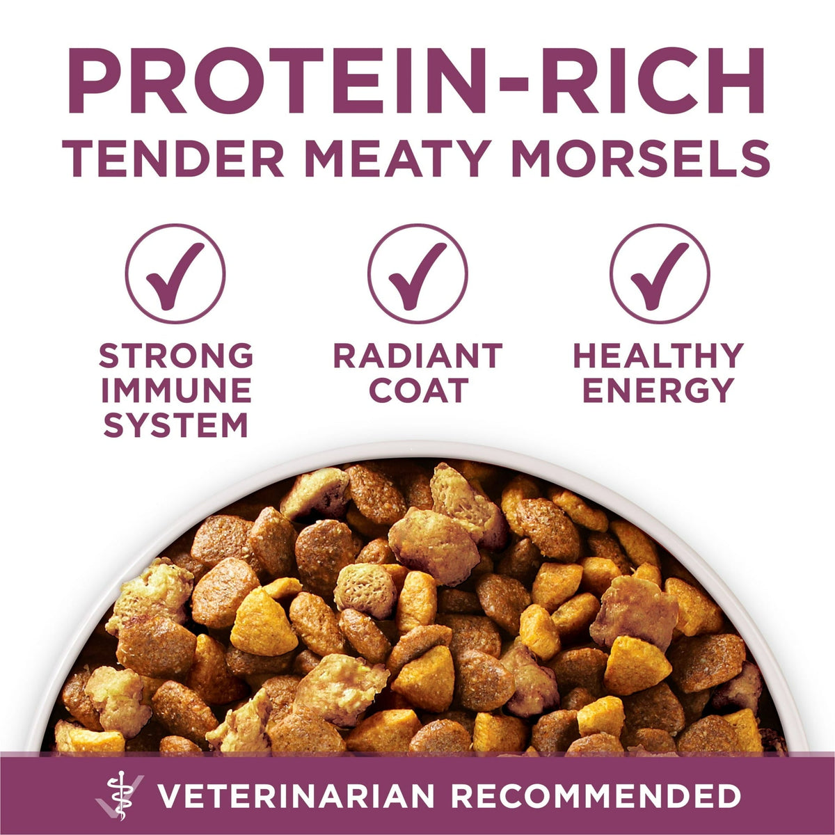 Purina ONE Plus Healthy Puppy Dry Dog Food, High Protein Growth Support with Real Chicken