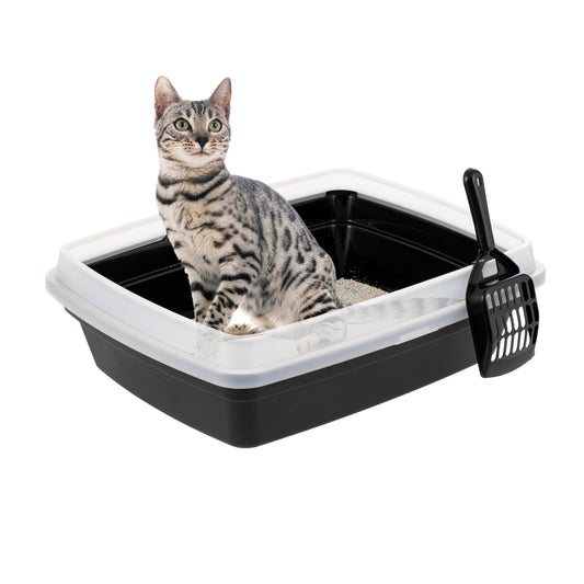 'IRIS Open Top Cat Litter Box with Scoop, Plastic Pan , Black