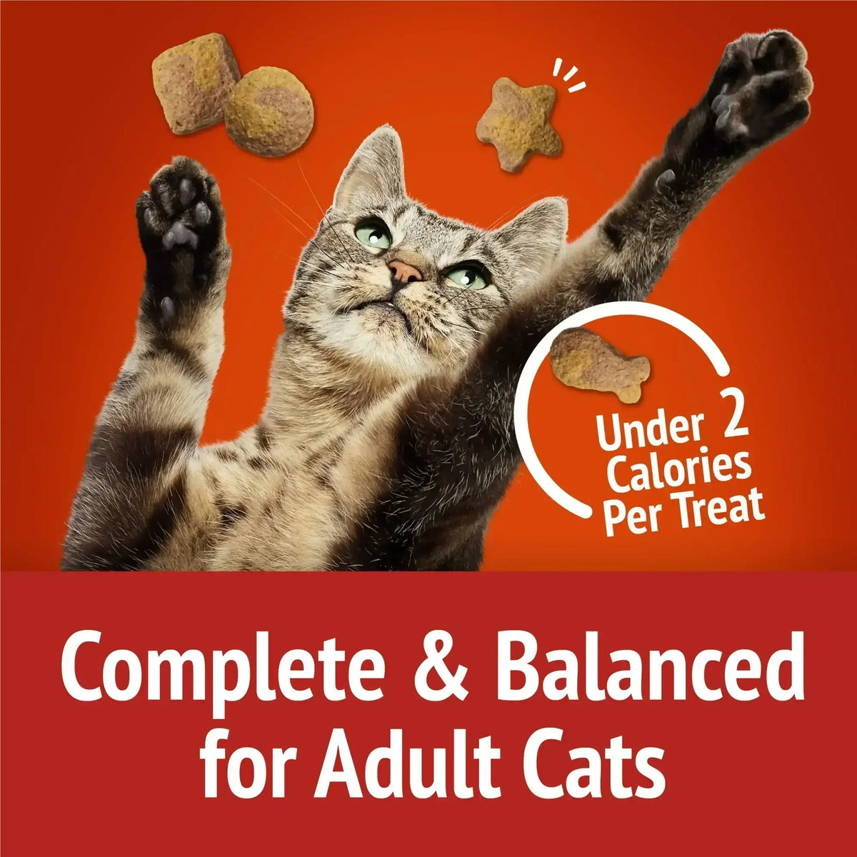 Purina Friskies Party Mix Gravy-licious, Cat Treats, Chicken & Gravy, 6 oz Bag