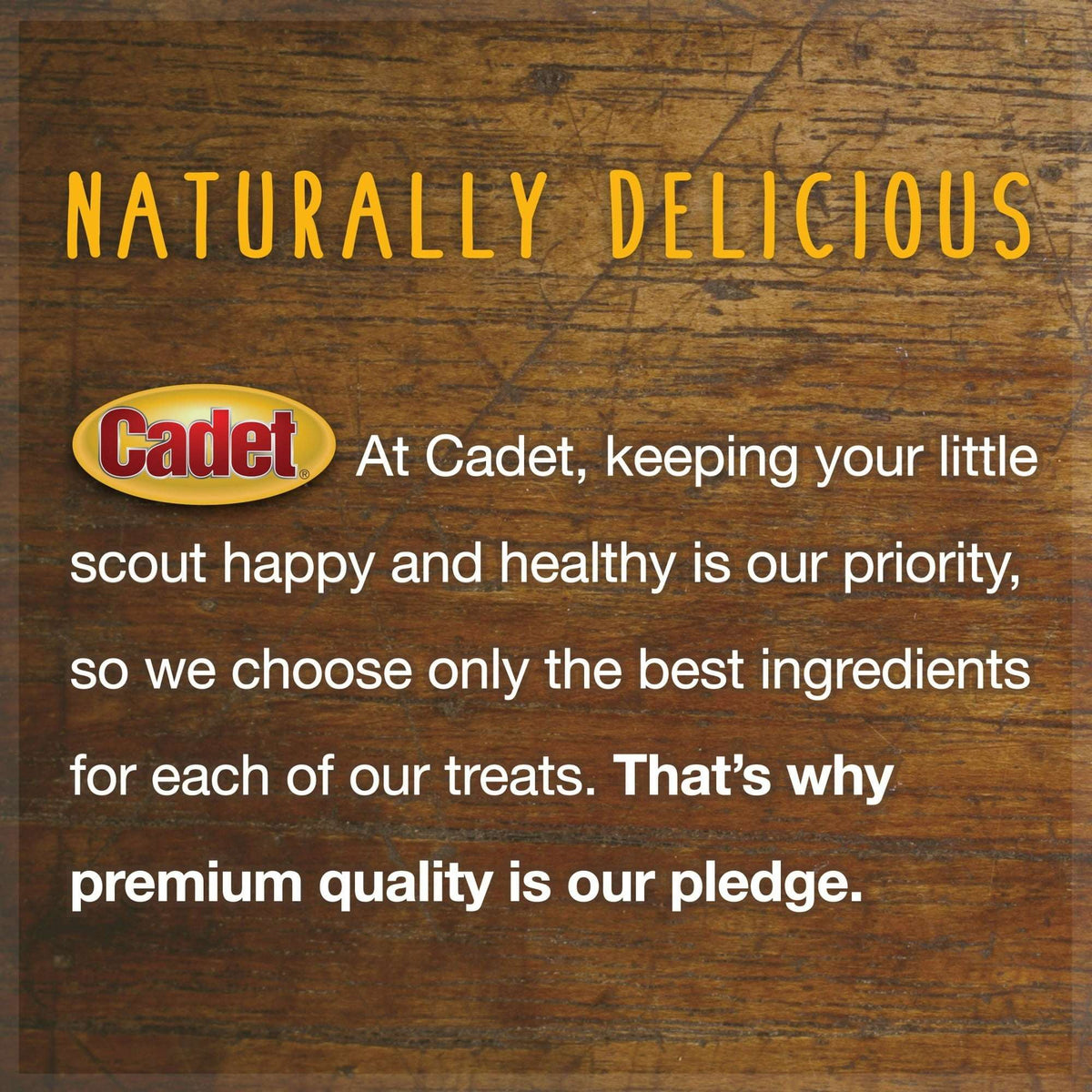 (2 pack) Cadet 100% Real Beef Strips Dog Treats, Single Ingredient Dog Jerky Treats for Small & Large Dogs, 4 Ounce
