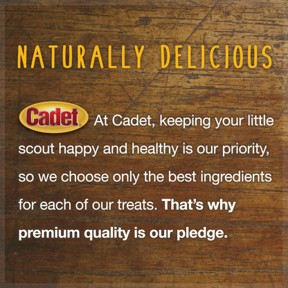 (2 pack) Cadet 100% Real Beef Strips Dog Treats, Single Ingredient Dog Jerky Treats for Small & Large Dogs, 4 Ounce