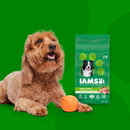 IAMS Proactive Health Adult Minichunks Chicken & Whole Grain Recipe Dry Dog Food