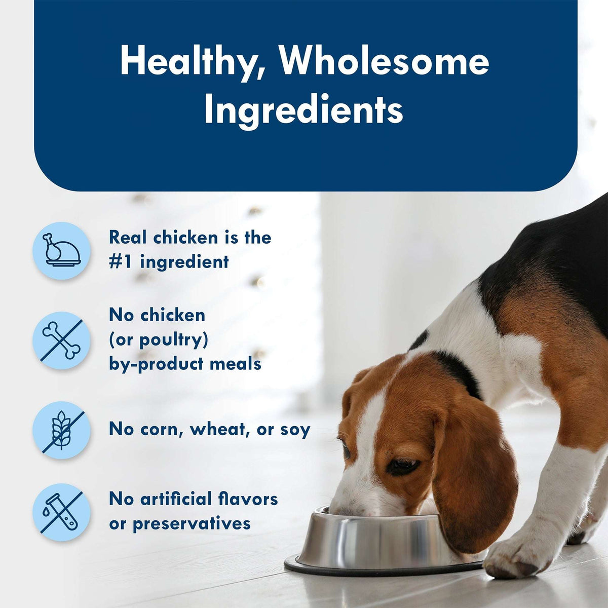 Blue Buffalo Delights Small Breed Roasted Chicken Flavor in Hearty Gravy Wet Dog Food for Adult Dogs, Grain-Free, 3.5 oz. Cup