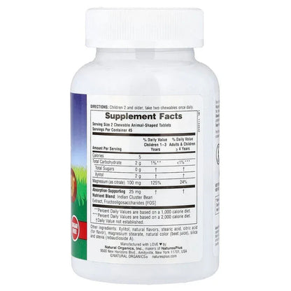 NaturesPlus, MagKidz®, Animal Parade®, Children's Chewable Magnesium, Cherry, 90 Animal-Shaped Tablets (50 mg per Tablet)