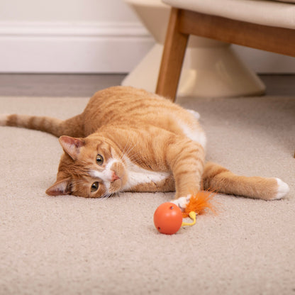SmartyKat Swat 'N Spin Interactive Cat Toy for Exercise & Stimulation, Medium, Blue