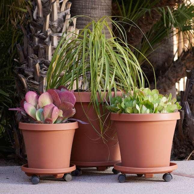 Bloem 16-in L x 16-in D x 3.5-in H Terra Cotta Plant Caddy