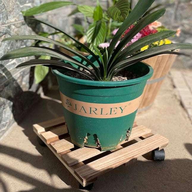 Style Selections 12-in L x 12-in D x 3.2-in H Brown Plant Caddy