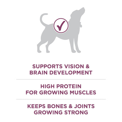 Purina ONE Plus Healthy Puppy Dry Dog Food, High Protein Growth Support with Real Chicken