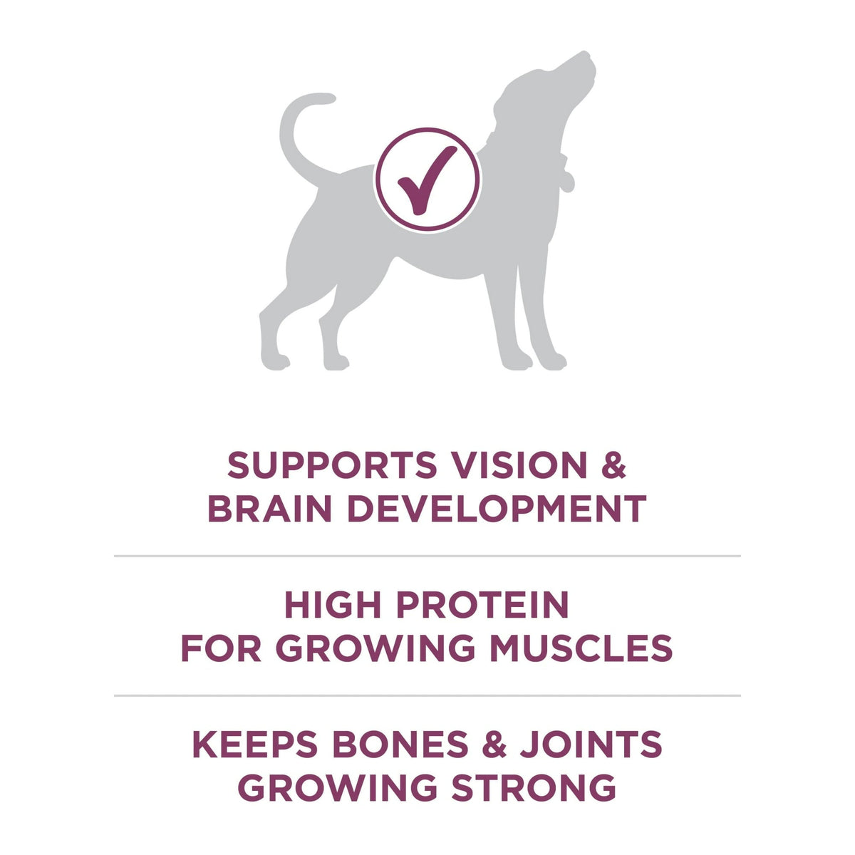 Purina ONE Plus Healthy Puppy Dry Dog Food, High Protein Growth Support with Real Chicken