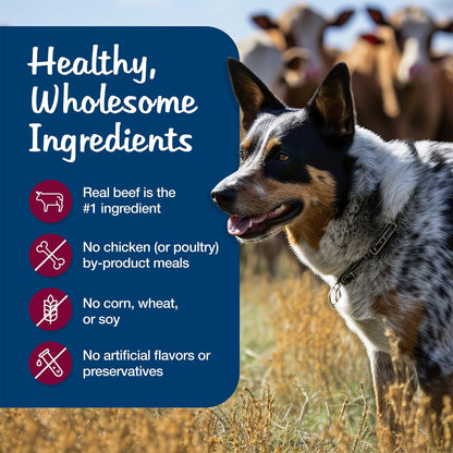 Blue Buffalo Blue's Stew Grain-Free Wet Dog Food, Hearty Beef Stew, 12.5-oz. Can