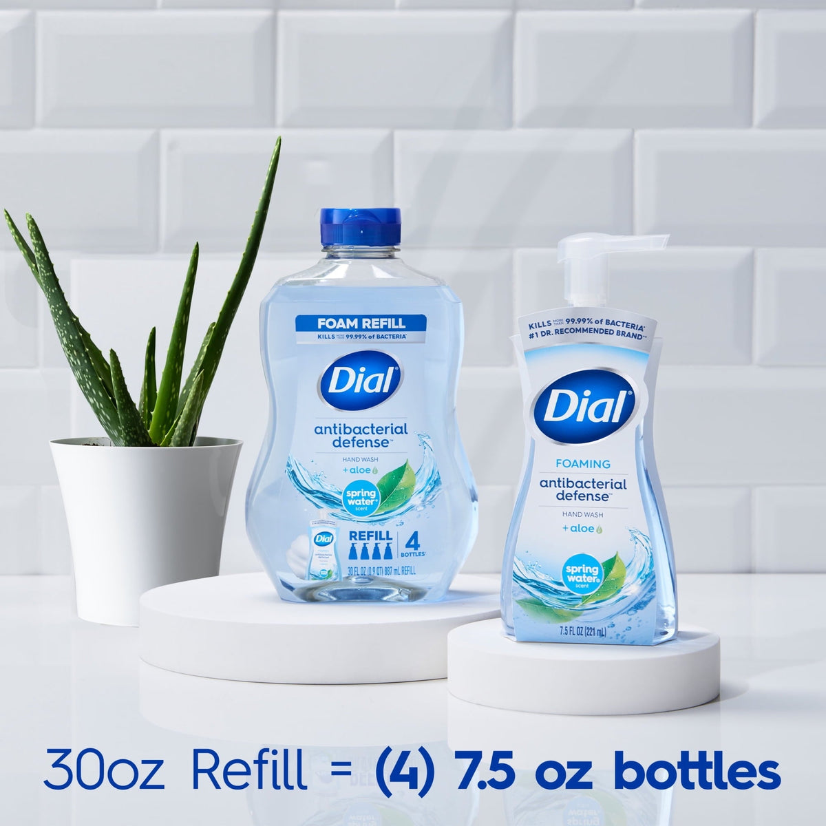 (6 pack) Dial Antibacterial Defense Spring Water Scent Foaming Hand Soap, 7.5 fl oz