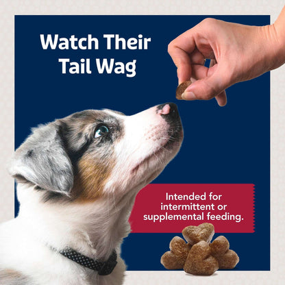 Blue Buffalo Jumbo Bits Beef Recipe, Soft & Chewy Natural Dog Treats, 11 oz. Bag