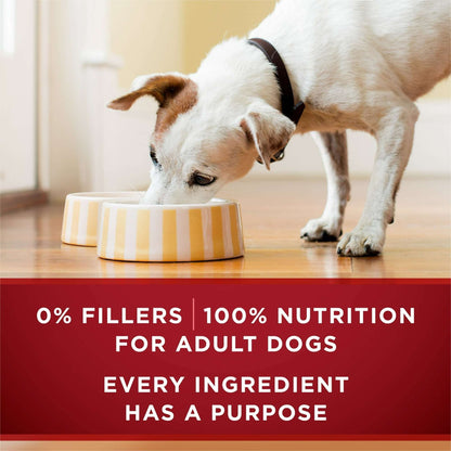 Purina ONE True Instinct Classic Ground Grain-Free Formulas With Real Turkey and Venison, and With Real Chicken and Duck Wet High Protein Dog Food Variety Pack
