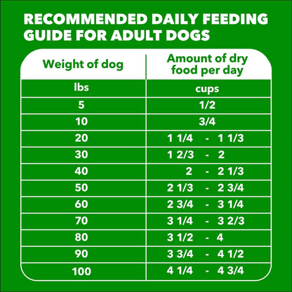 IAMS Proactive Health Adult Minichunks Chicken & Whole Grain Recipe Dry Dog Food